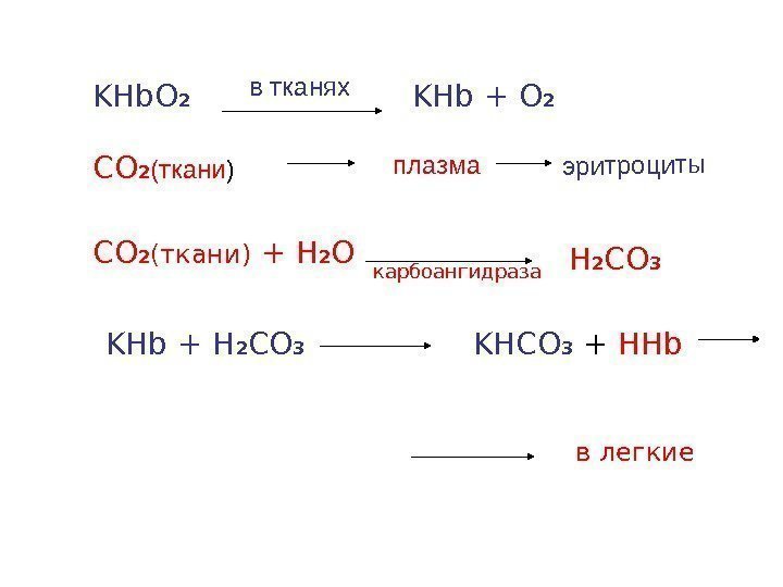KHb. O 2 KHb + O 2 CO 2 (ткани ) плазма CO 2