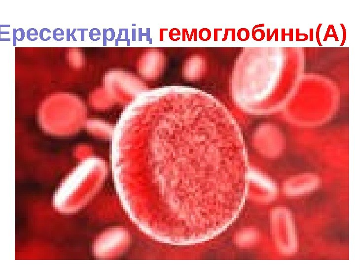  Ересектердің гемоглобины(А) 