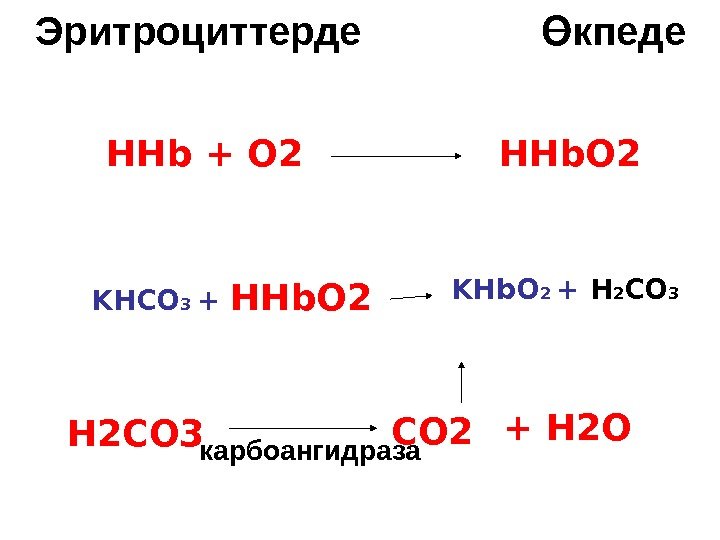   Эритроциттерде HHb. O 2 HHb + O 2 KHCO 3 + HHb.