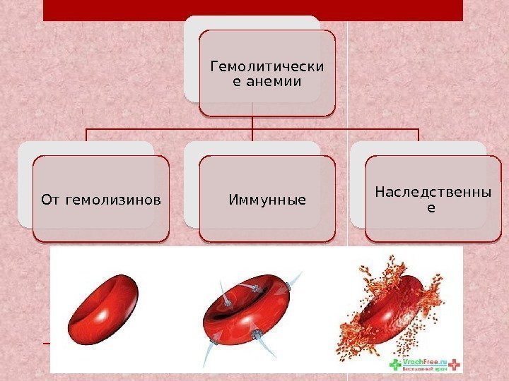 Гемолитически е анемии От гемолизинов Иммунные Наследственны е 180 F 0 F  16