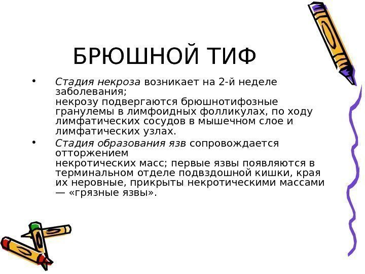 БРЮШНОЙ ТИФ • Стадия некроза возникает на 2 -й неделе заболевания; некрозу подвергаются брюшнотифозные