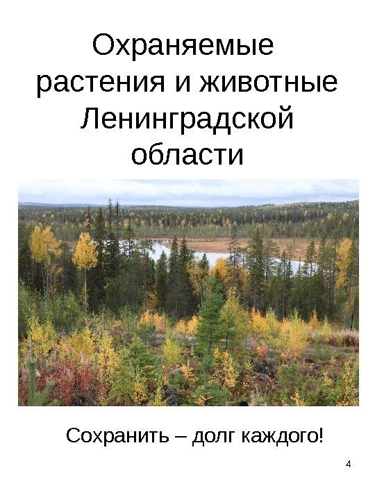 4 Охраняемые растения и животные Ленинградской области Сохранить – долг каждого! 