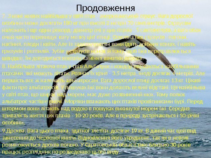 Продовження 7. З нині живих найбільша у світі птах - американський страус. Вага дорослої