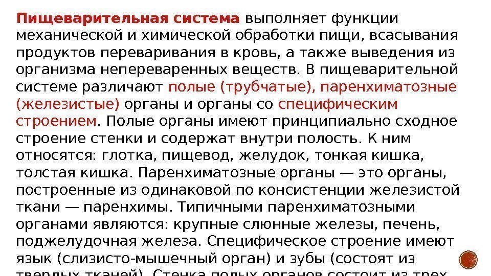 Механическая и химическая обработка пищи. Роль хим обработки пищи. Роль зубов в механической обработке пищи физиология. Печень участвует в химической обработке пищи.