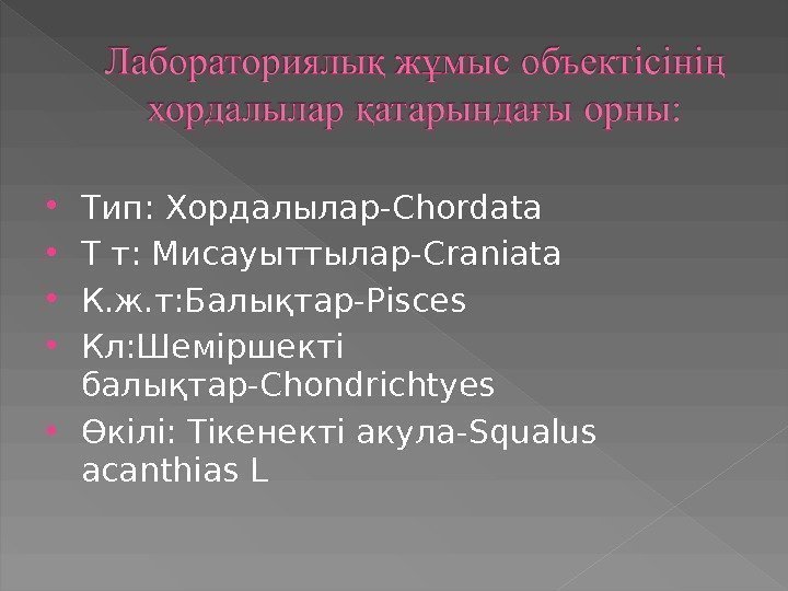  Тип: Хордалылар- Chordata Т т: Мисауыттылар- Craniata К. ж. т: Балықтар- Pisces Кл