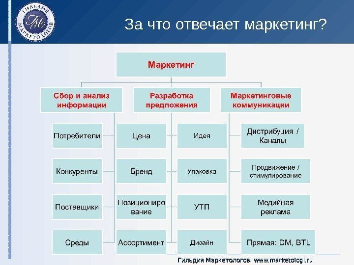 Гильдия Маркетологов.  www. marketologi. ru. За что отвечает маркетинг? 