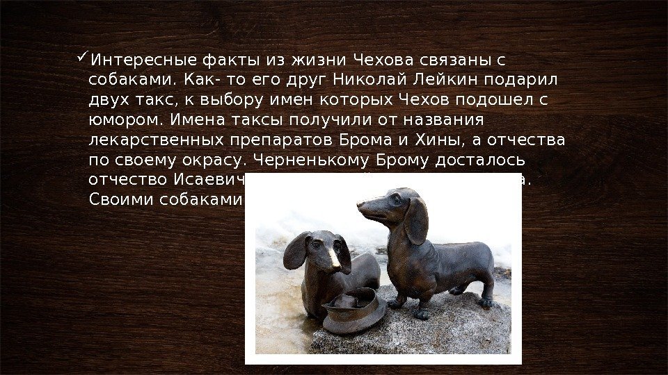  Интересные факты из жизни Чехова связаны с собаками. Как- то его друг Николай