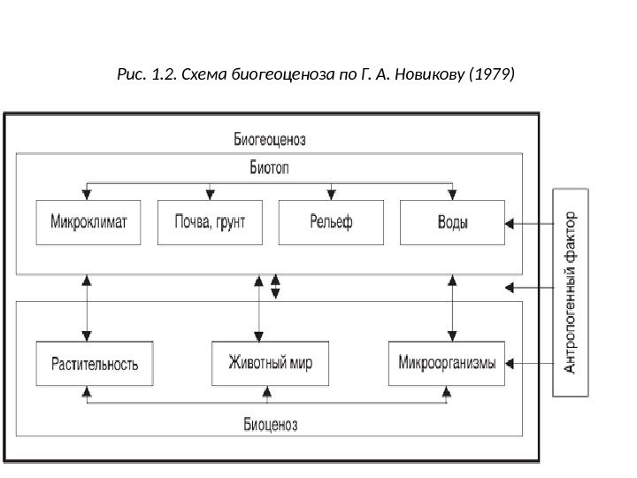 Вгту схема корпусов