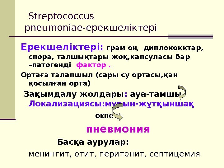  Streptococcus pneumoniae -ерекшеліктері Ерекшеліктері:  грам оң  диплококктар,  спора, талшықтары жоқ,