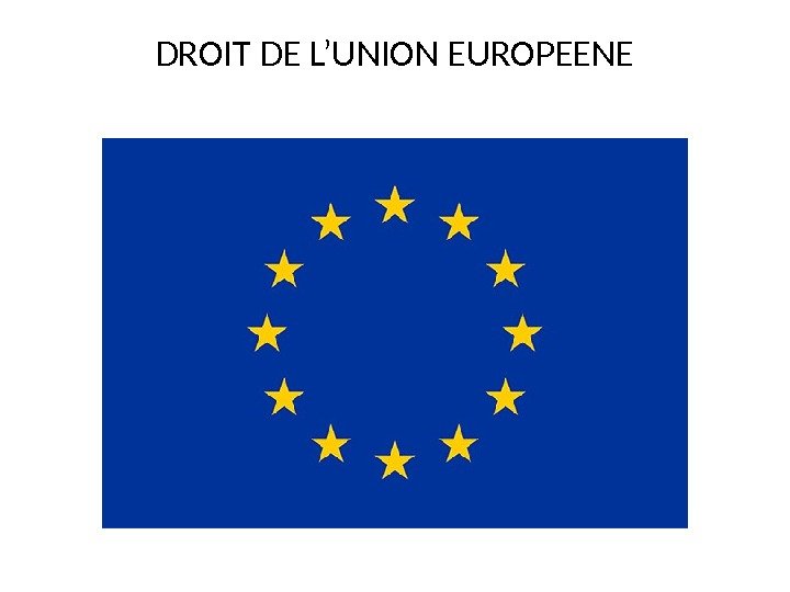 DROIT DE L’UNION EUROPEENE 