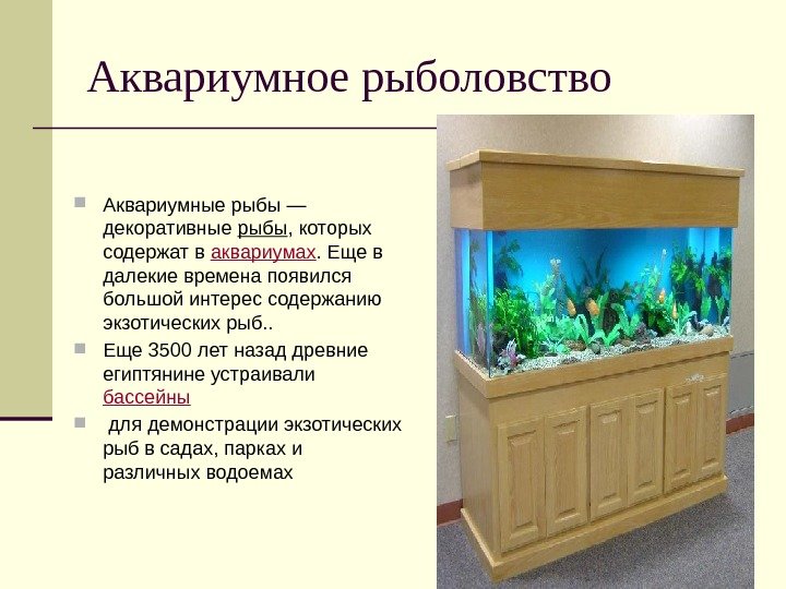 Аквариумное рыболовство Аквариумные рыбы — декоративные рыбы , которых содержат в аквариумах. Еще в