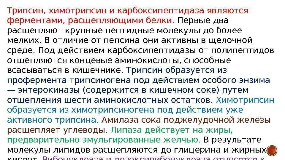 Трипсин, химотрипсин и карбоксипептидаза являются ферментами, расщепляющими белки.  Первые два расщепляют крупные пептидные