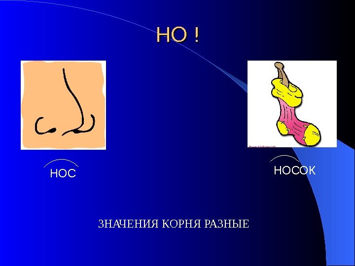 НО ! ЗНАЧЕНИЯ КОРНЯ РАЗНЫЕ НОСОК 