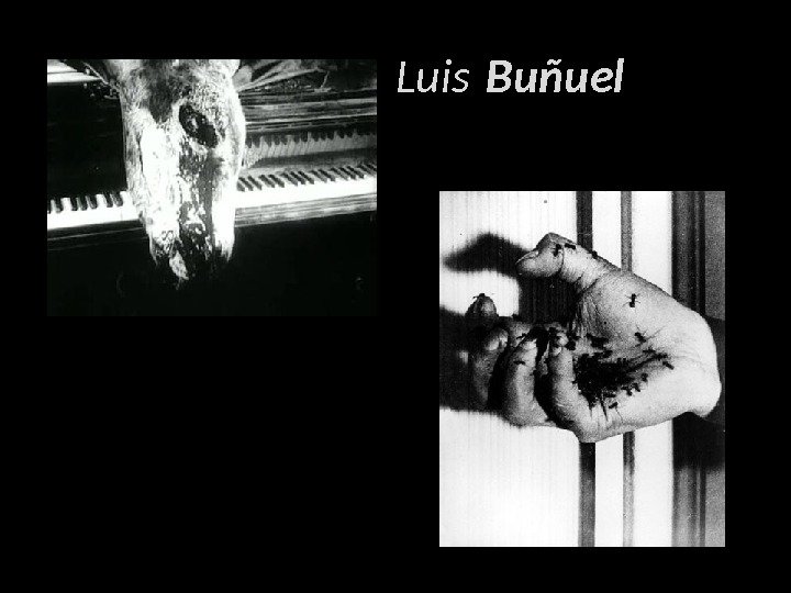      Luis Buñuel 