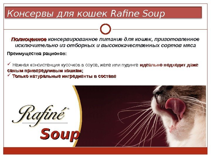 Консервы для кошек Rafine Soup Полноценное консервированное питание для кошек, приготовленное исключительно из отборных