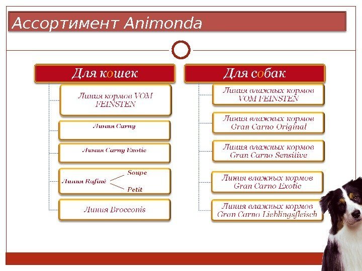 Ассортимент Animonda 