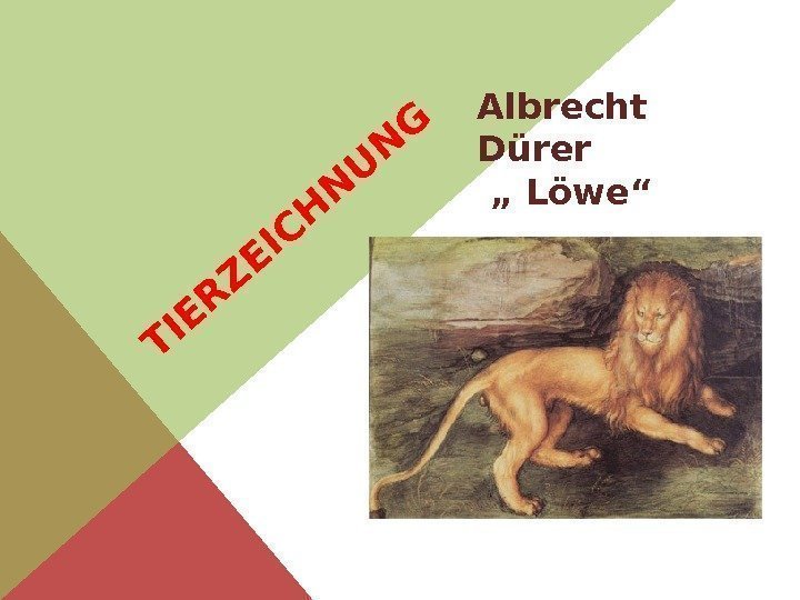 T IE R Z E IC H N U N GAlbrecht Dürer „ Löwe“