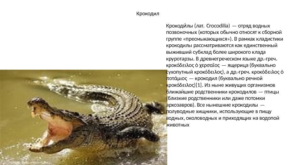 Крокодил Крокод лы (лат. Crocodilia) — отряд водных ии позвоночных (которых обычно относят к