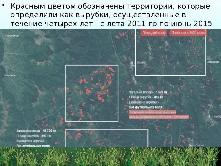  • Красным цветом обозначены территории, которые определили как вырубки, осуществленные в течение четырех