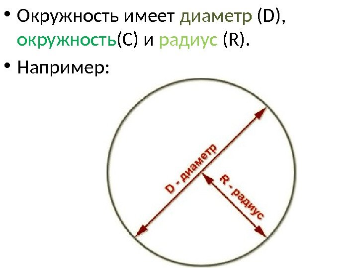  • Окружность имеет диаметр (D),  окружность (С) и радиус (R).  •