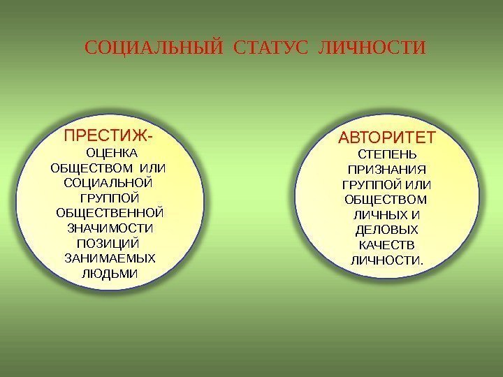 СОЦИАЛЬНЫЙ СТАТУС ЛИЧНОСТИ ПРЕСТИЖ- ОЦЕНКА ОБЩЕСТВОМ ИЛИ  СОЦИАЛЬНОЙ  ГРУППОЙ ОБЩЕСТВЕННОЙ ЗНАЧИМОСТИ ПОЗИЦИЙ