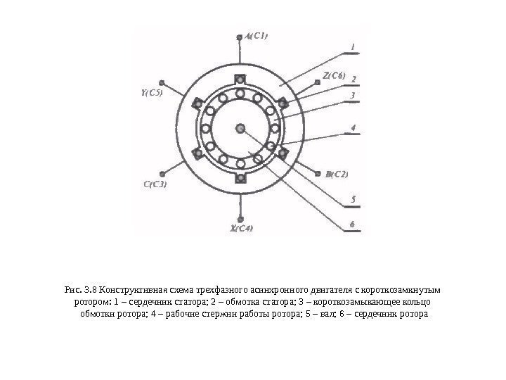 Рис. 3. 8 Конструктивная схема трехфазного асинхронного двигателя с короткозамкнутым ротором: 1 – сердечник