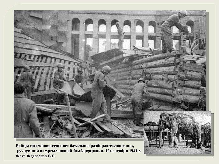 Бойцы восстановительного батальона разбирают слоновник, рухнувший во время ночной бомбардировки. 10 сентября 1941 г.