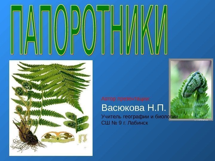 Автор презентации: Васюкова Н. П. Учитель географии и биологии СШ № 9 г. Лабинск