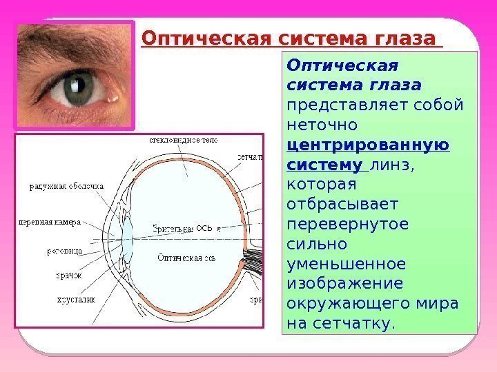 ось. Оптическая система глаза представляет собой неточно центрированную систему линз,  которая отбрасывает перевернутое