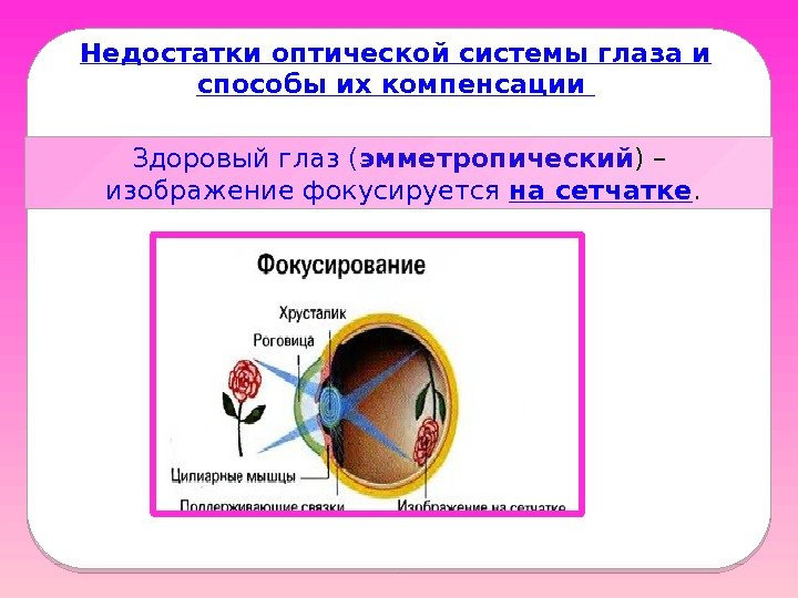 Недостатки оптической системы глаза и способы их компенсации Здоровый глаз ( эмметропический ) –