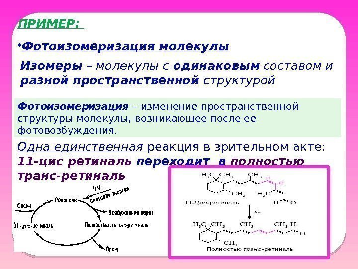 ПРИМЕР:  • Фотоизомеризация молекулы Изомеры – молекулы с одинаковым составом и разной пространственной