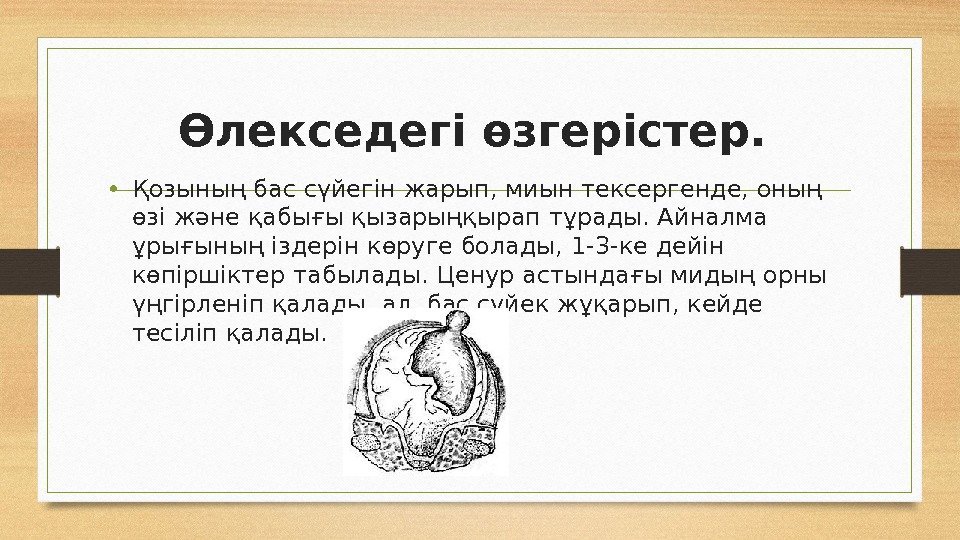 Өлекседегі өзгерістер.  • Қозының бас сүйегін жарып, миын тексергенде, оның өзі және қабығы