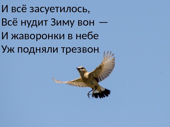 Жаворонки едва различимые в воздухе заливались. И все засуетилось все нудит зиму вон и Жаворонки. Жаворонки в небе подняли трезвон. Жаворонки в небе уж. Стихотворение и Жаворонки в небе уж подняли трезвон.