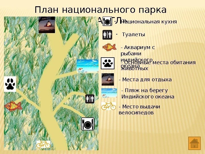 План национального парка  «ДЖАНГЛ» - Национальная кухня - Туалеты - Аквариум с рыбами
