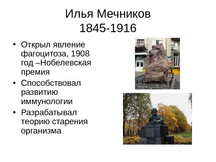   Илья Мечников 1845 -1916 • Открыл явление фагоцитоза, 1908 год –Нобелевская премия