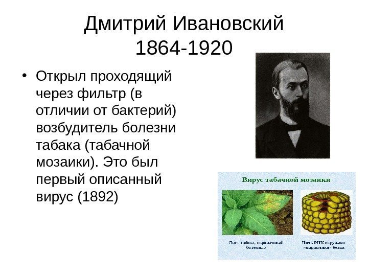   Дмитрий Ивановский 1864 -1920 • Открыл проходящий через фильтр (в отличии от