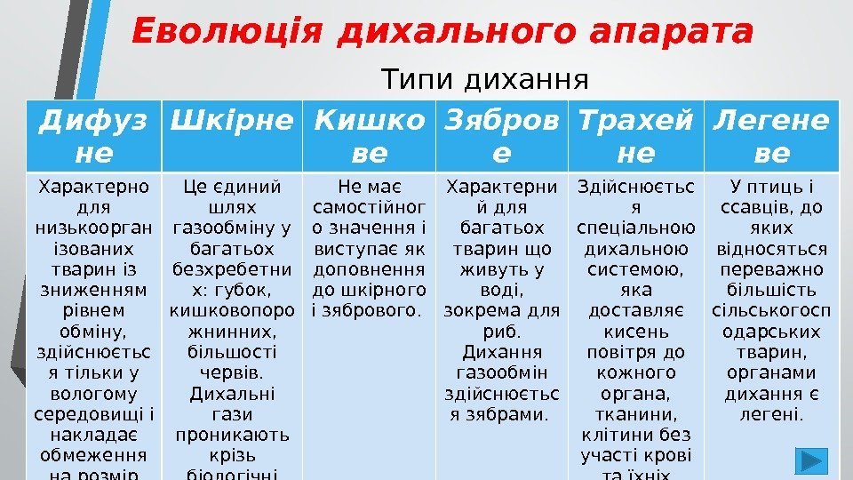 Еволюція дихального апарата Типи дихання Дифуз не Шкірне Кишко ве Зябров е Трахей не