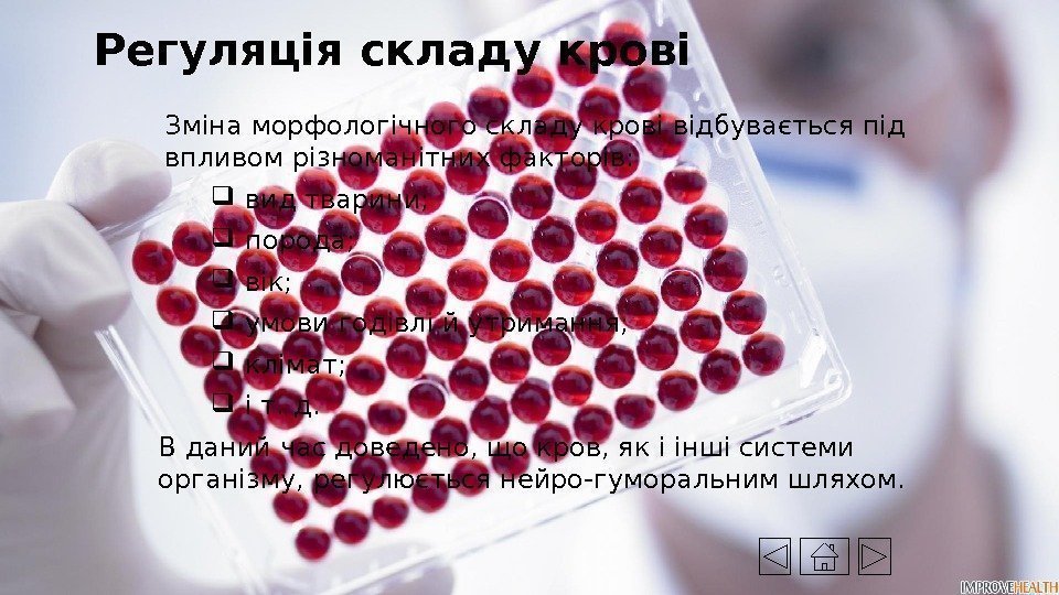 Регуляція складу крові Зміна морфологічного складу крові відбувається під впливом різноманітних факторів:  вид