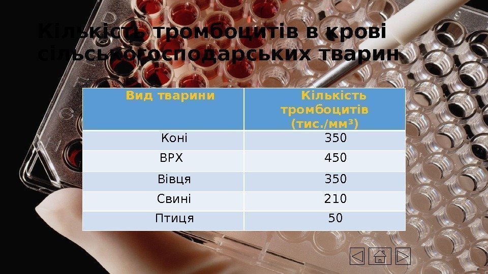 Кількість тромбоцитів в крові сільськогосподарських тварин Вид тварини Кількість тромбоцитів (тис. /мм 3 )
