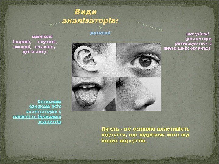 Види аналізаторів:  зовнішні (зорові, слухові,  нюхові,  смакові,  дотикові);  внутрішні