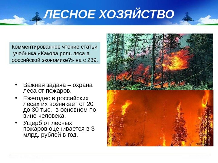 ЛЕСНОЕ ХОЗЯЙСТВО • Важная задача – охрана леса от пожаров.  • Ежегодно в