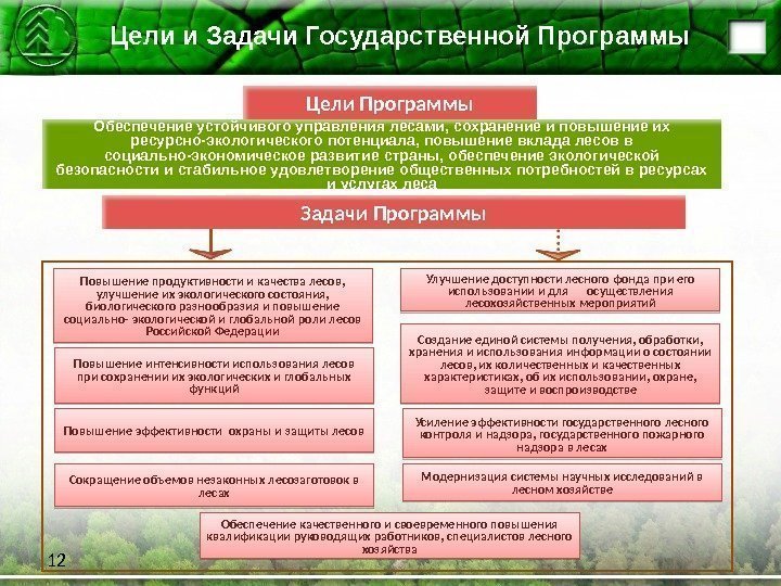 Цели и Задачи Государственной Программы 12 Повышение продуктивности и качества лесов,  улучшение их
