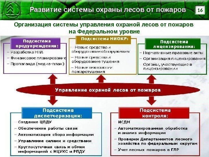 16 Развитие системы охраны лесов от пожаров Организация системы управления охраной лесов от пожаров