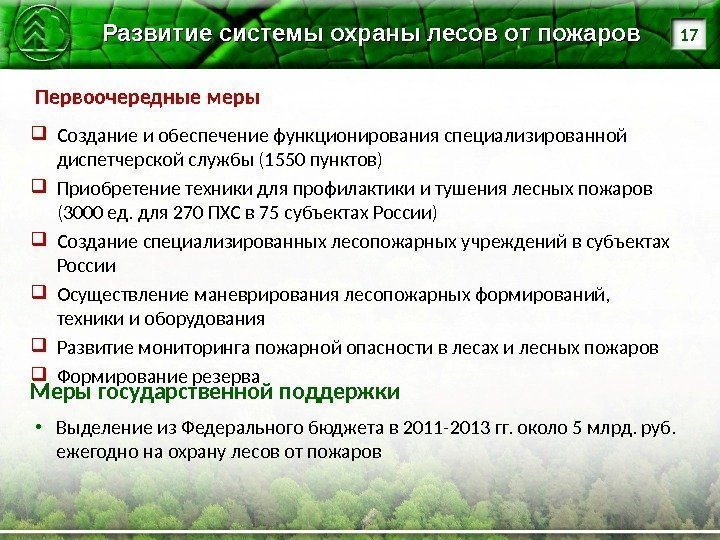 Первоочередные меры 17 Развитие системы охраны лесов от пожаров Создание и обеспечение функционирования специализированной