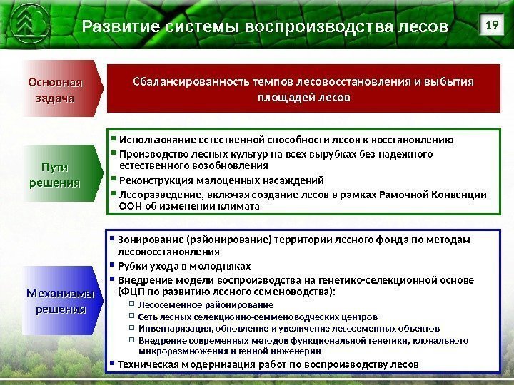 Развитие системы воспроизводства лесов Сбалансированность темпов лесовосстановления и выбытия площадей лесов Зонирование (районирование) территории