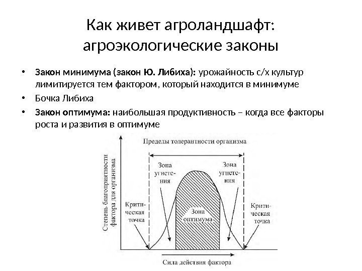  • Закон минимума (закон Ю. Либиха):  урожайность с/х культур лимитируется тем фактором,