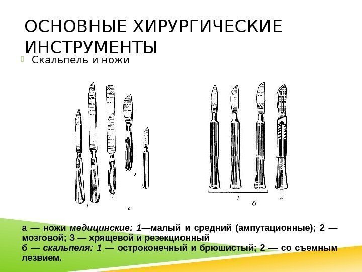 ОСНОВНЫЕ ХИРУРГИЧЕСКИЕ ИНСТРУМЕНТЫ Скальпель и ножи а  — ножи медицинские:  1 —малый