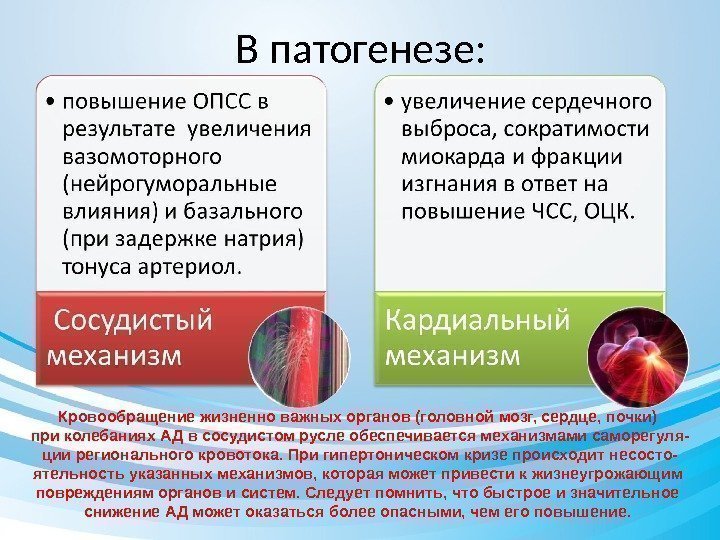 В патогенезе: Кровообращение жизненно важных органов (головной мозг, сердце, почки) при колебаниях АД в