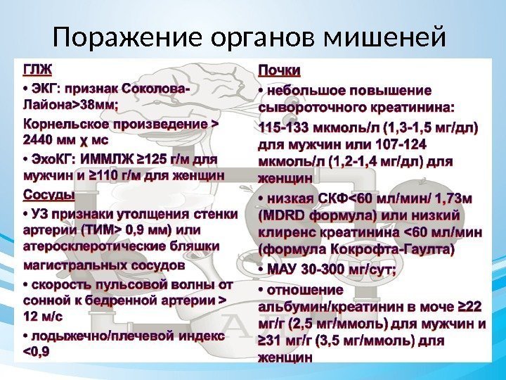 Поражение органов мишеней 