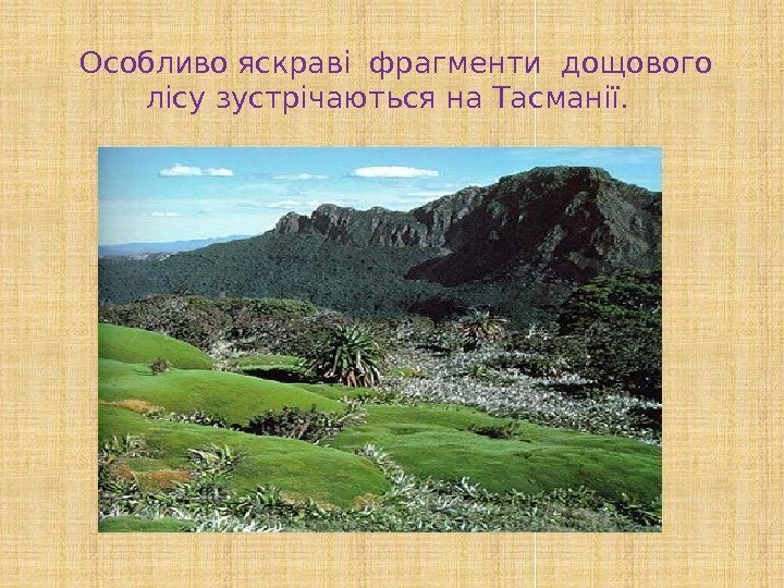  Особливо яскраві фрагменти дощового лісу зустрічаються на Тасманії.  